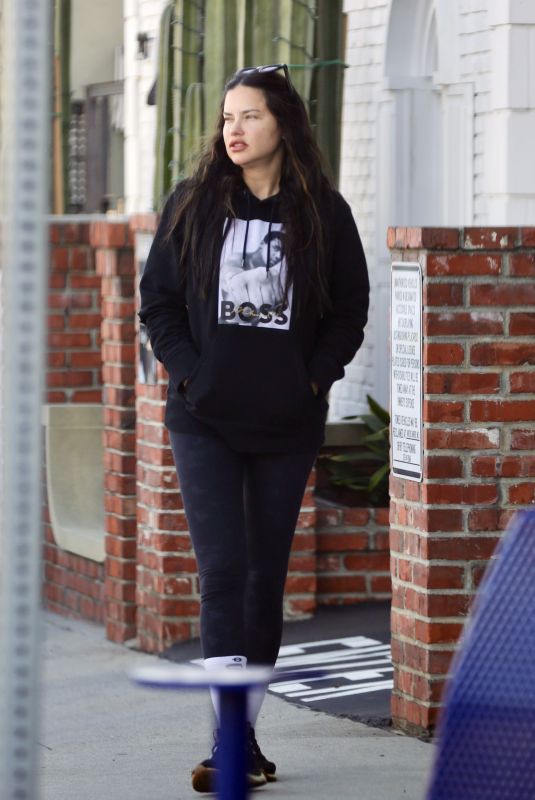 ADRIANA LIMA Out and About in Los Angeles 12/13/2023