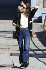 ALESSANDRA AMBROSIO Out for Christmas Shopping in Pacific Palisades 12/15/2023