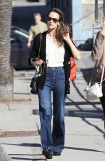 ALESSANDRA AMBROSIO Out for Christmas Shopping in Pacific Palisades 12/15/2023