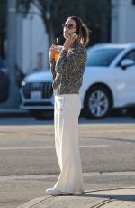 ALESSANDRA AMBROSIO Out for Christmas Shopping in Pacific Palisades 12/23/2023