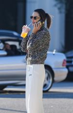 ALESSANDRA AMBROSIO Out for Christmas Shopping in Pacific Palisades 12/23/2023