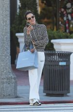 ALESSANDRA AMBROSIO Out for Christmas Shopping in Pacific Palisades 12/23/2023