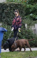 ALESSANDRA AMBROSIO Takes Her Dogs on the Streets of Her Brentwood Neighborhood 12/11/2023