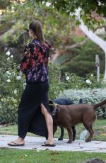 ALESSANDRA AMBROSIO Takes Her Dogs on the Streets of Her Brentwood Neighborhood 12/11/2023