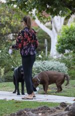 ALESSANDRA AMBROSIO Takes Her Dogs on the Streets of Her Brentwood Neighborhood 12/11/2023