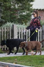 ALESSANDRA AMBROSIO Takes Her Dogs on the Streets of Her Brentwood Neighborhood 12/11/2023