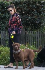 ALESSANDRA AMBROSIO Takes Her Dogs on the Streets of Her Brentwood Neighborhood 12/11/2023