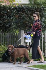 ALESSANDRA AMBROSIO Takes Her Dogs on the Streets of Her Brentwood Neighborhood 12/11/2023