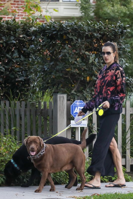 ALESSANDRA AMBROSIO Takes Her Dogs on the Streets of Her Brentwood Neighborhood 12/11/2023