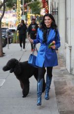 ALEXANDRIA WOLFE Out with Her Dog in Beverly Hills 12/27/2023