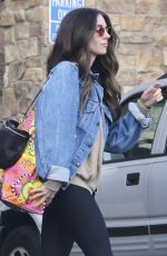 ALISON BRIE Shopping at Gelson