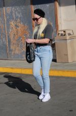 AMANDA BYNES Out and About in West Hollywood 12/13/2023