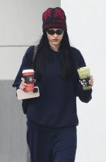 AMELIA HAMLIN at Alfred Coffee in Los Angeles 12/23/2023