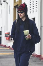 AMELIA HAMLIN at Alfred Coffee in Los Angeles 12/23/2023