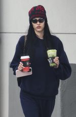 AMELIA HAMLIN at Alfred Coffee in Los Angeles 12/23/2023
