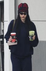 AMELIA HAMLIN at Alfred Coffee in Los Angeles 12/23/2023
