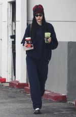AMELIA HAMLIN at Alfred Coffee in Los Angeles 12/23/2023