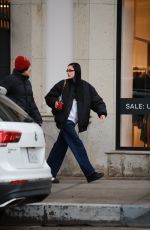 AMELIA HAMLIN on a Lunch Date in Beverly Hills 12/21/2023