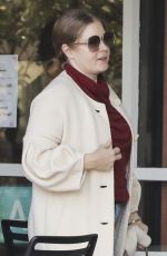 AMY ADAMS Shopping at Beverly Glen Deli in Los Angeles 12/24/2023