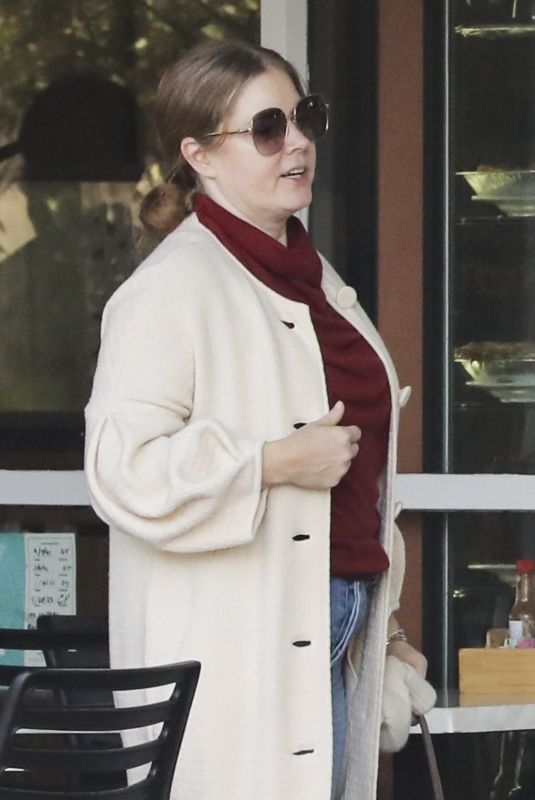 AMY ADAMS Shopping at Beverly Glen Deli in Los Angeles 12/24/2023