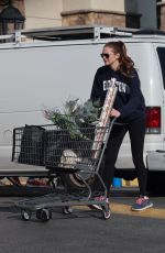ANNA OSCEOLA Out Shopping for Grocery in Los Feliz 12/29/2023