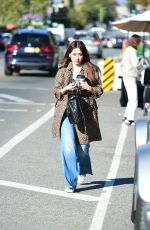 BRENDA SONG Out fpr Lunch with a Friend in Los Angeles 12/13/2023