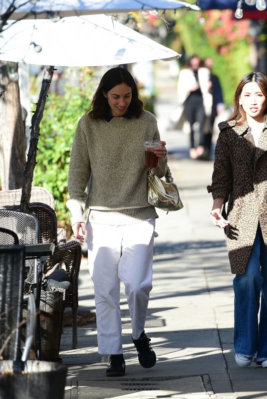 BRENDA SONG Out fpr Lunch with a Friend in Los Angeles 12/13/2023