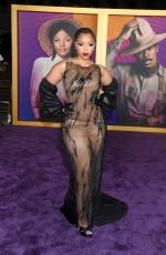 CHLOE BAILEY at The Color Purple Premiere in Los Angeles 12/06/2023