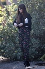 DAKOTA JOHNSON Leaves a Friends House in Malibu 12/16/2023