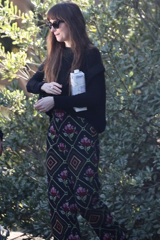 DAKOTA JOHNSON Leaves a Friends House in Malibu 12/16/2023