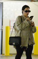 DEMI LOVATO and Jutes Out Shopping in West Hollywood 12/24/2023