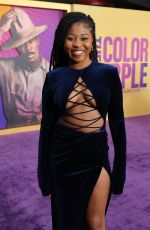 DOMINIQUE FISHBACK at The Color Purple Premiere in Los Angeles 12/06/2023 