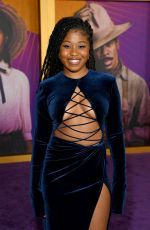 DOMINIQUE FISHBACK at The Color Purple Premiere in Los Angeles 12/06/2023 