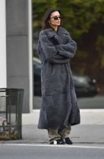 EMILY RATAJKOWSKI Out and About in New York 12/01/2023