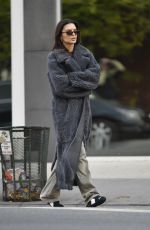 EMILY RATAJKOWSKI Out and About in New York 12/01/2023