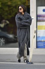 EMILY RATAJKOWSKI Out and About in New York 12/01/2023