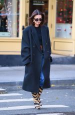 EMILY RATAJKOWSKI Out and About in New York 12/12/2023