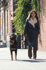 EMILY RATAJKOWSKI Out Walking Her Dog in New York 12/21/2023