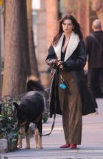 EMILY RATAJKOWSKI Out Walking Her Dog in New York 12/21/2023