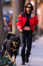 EMILY RATAJKOWSKI Takes Her Dog Out for Walk in New York 12/19/2023