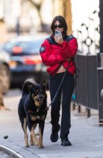 EMILY RATAJKOWSKI Takes Her Dog Out for Walk in New York 12/19/2023