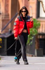 EMILY RATAJKOWSKI Takes Her Dog Out for Walk in New York 12/19/2023