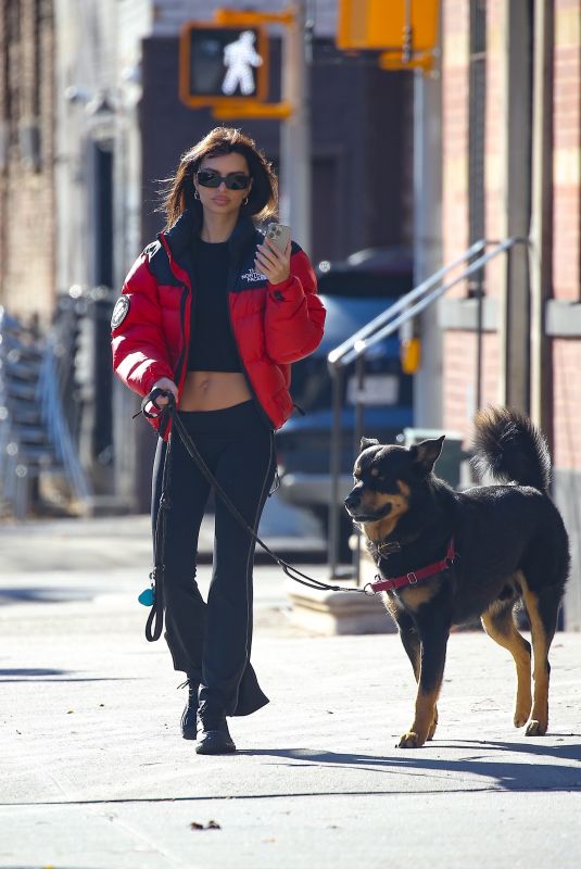 EMILY RATAJKOWSKI Takes Her Dog Out for Walk in New York 12/19/2023