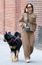 EMILY RATAJKOWSKI Walks Her Dog Colombo in New York 12/17/2023