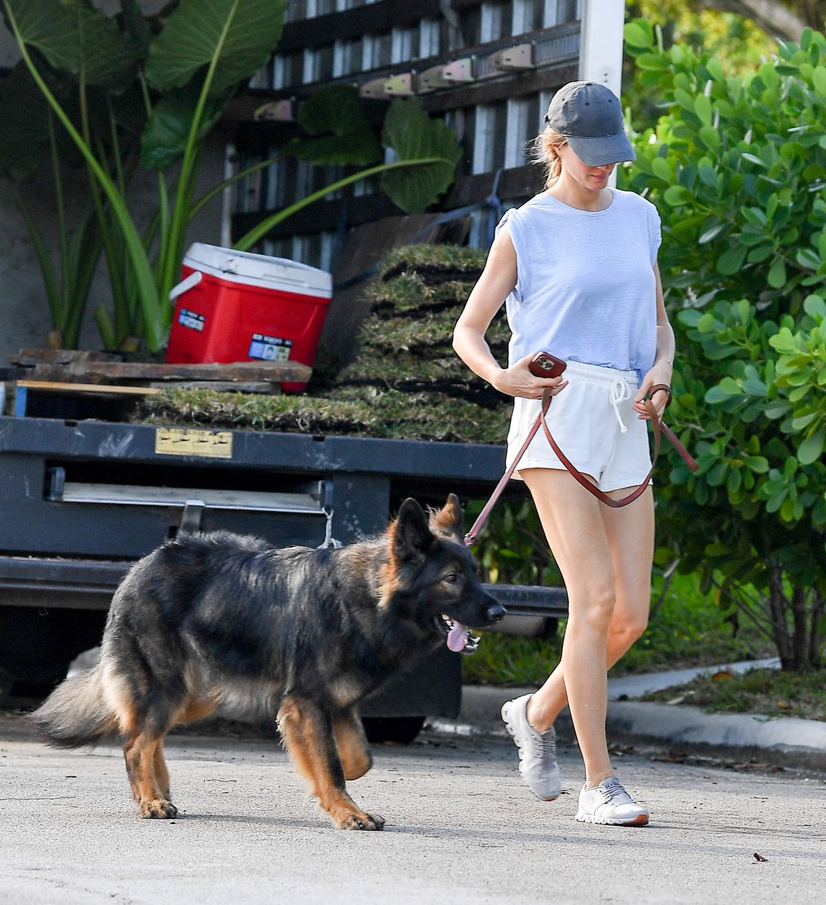 GISELE BUNDCHEN Out for a Dog Walk in Miami 12/08/2023 – HawtCelebs