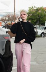 HALSEY Out Shopping with Her Mother in Los Angeles 12/22/2023