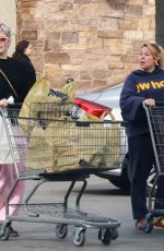 HALSEY Out Shopping with Her Mother in Los Angeles 12/22/2023