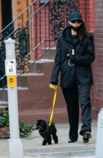 IRINA SHAYK Out for a Dog Walk in New York 12/19/2023