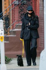 IRINA SHAYK Out for a Dog Walk in New York 12/19/2023