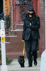 IRINA SHAYK Out for a Dog Walk in New York 12/19/2023